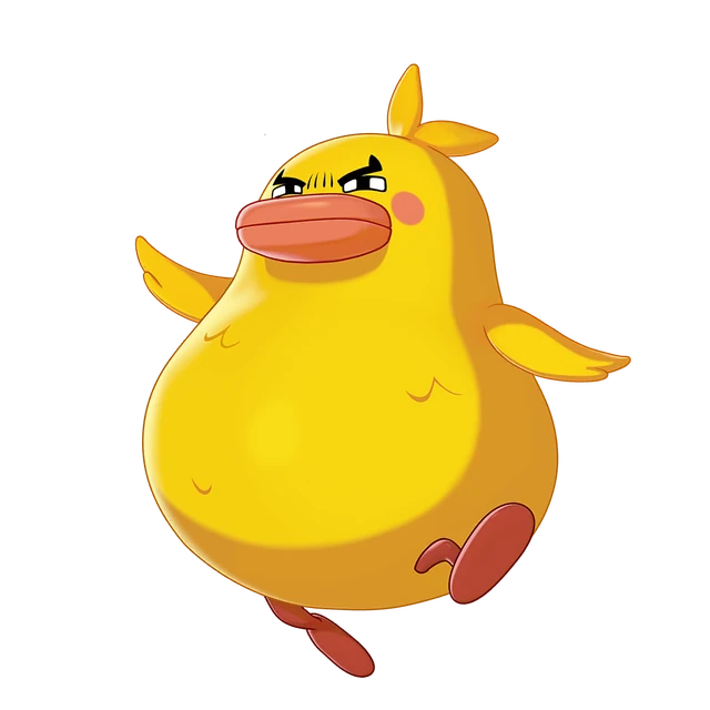 Duckiji — Roco Kingdom